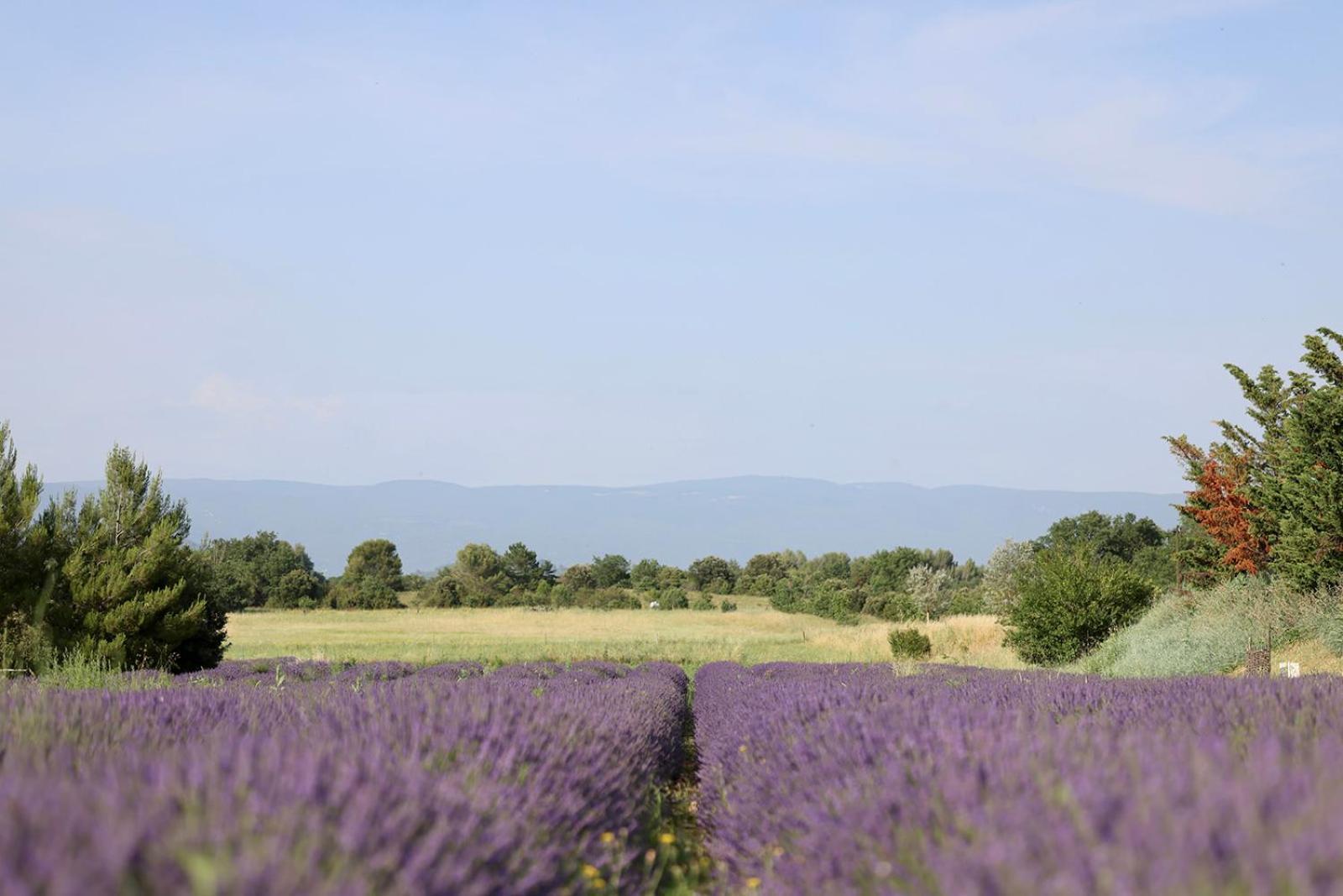 Le Mas Les Eydins Bonnieux Εξωτερικό φωτογραφία
