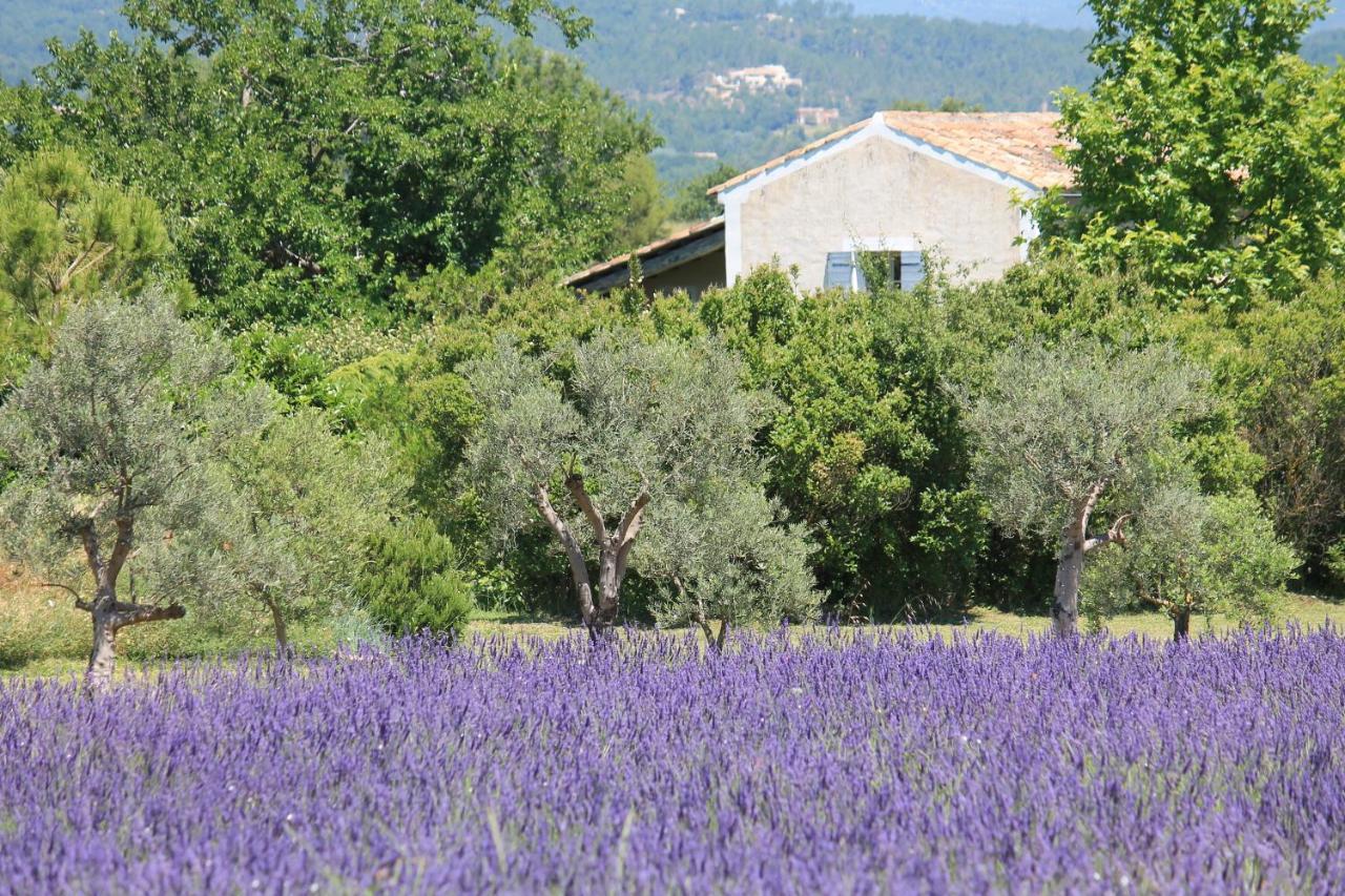 Le Mas Les Eydins Bonnieux Εξωτερικό φωτογραφία